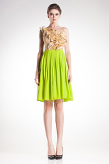 beautiful woman model posing in elegant green dress