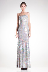 beautiful woman posing in long elegant silver sequins dress