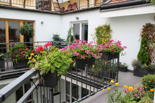 Modern beautiful house with a lot of flowers