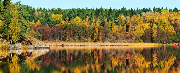Photo sur Aluminium Automne Autumn forest with reflections in a lake