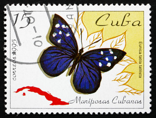 Postage stamp Cuba 1995 Florida Purplewing, Butterfly