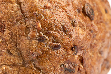 background texture of a porous brown bread