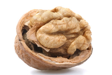 Walnut isolated on white