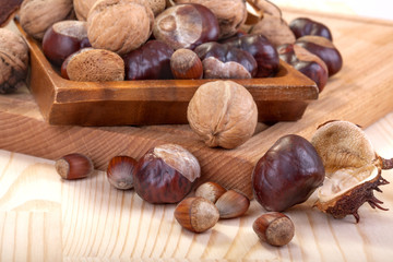 Obraz na płótnie Canvas arrangement with walnuts, chestnuts, hazelnuts and almonds
