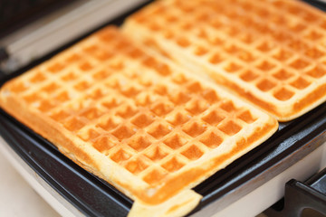 Waffle iron preparing waffles in kitchen