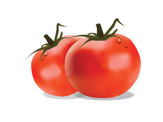 tomato