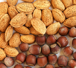 Nuts background