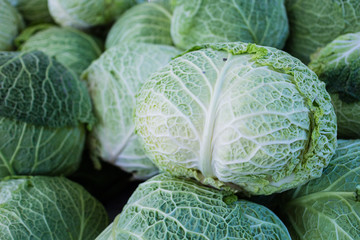 savoy cabbage at market