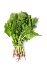 Spinach