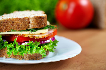 Close up of sandwich