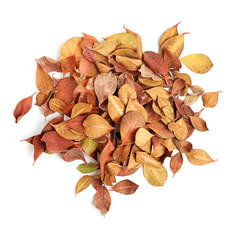 heap of dry leaves on white background