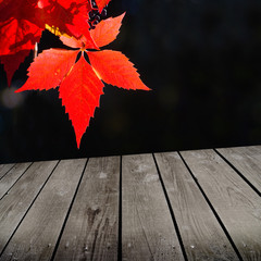 Naklejka na ściany i meble autumn theme and empty wooden deck table.