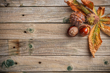 Background with chestnut leaves
