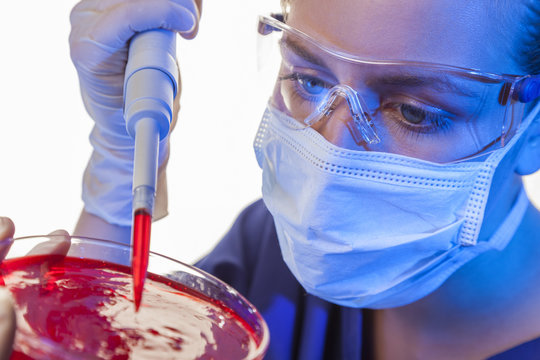 Female Scientist Pipette & Petri Dish In Laboratory