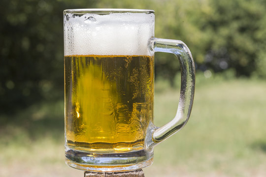 Cold beer in a chilled mug