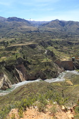 Der Colca Canyon in Peru