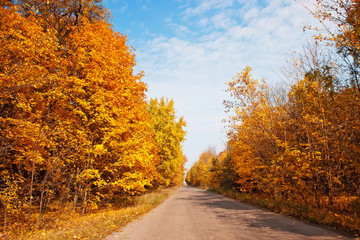 Autumn landscape