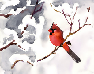 Red bird on a branch with snow - 57186402
