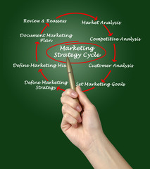 Marketing strategy cycle