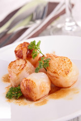 seared scallop