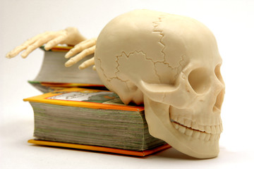Calavera