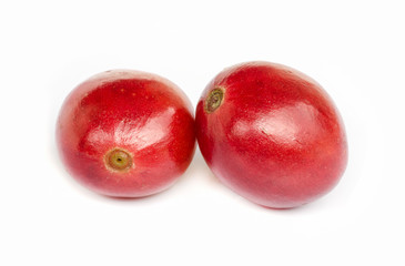 red ripe coffee beans.