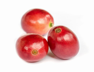 red ripe coffee beans.