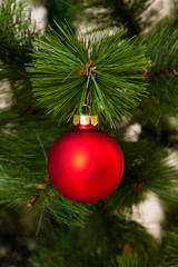 Obraz na płótnie Canvas Christmas-tree decorations