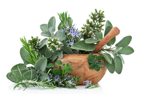 Mediterrane Kr&auml;uter