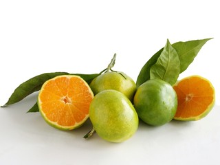 Miyagawa fruits