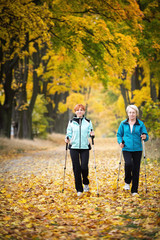 Obraz premium Nordic walking