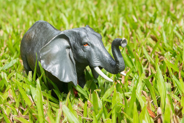 Elephant statues on the grass