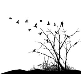 tree silhouette with birds flying