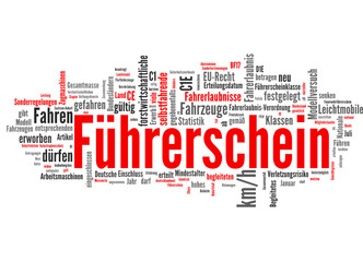 Fototapeta premium Führerschein (Führerscheinprüfung, Fahrschule)