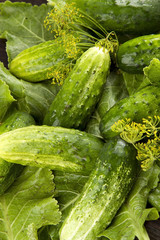 pickles