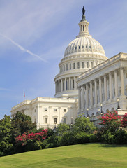 United States Capitol, Washington DC