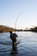 Fisherman catches of salmon at sunset.