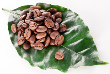 Coffee beans on leaf.