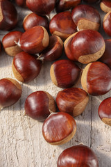 Sweet chestnuts, Castanea sativa - castagne