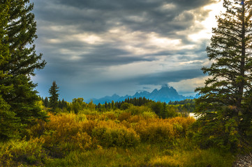 Fall in Grant Tetons National Park