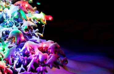 Dressed sparkling New Year's tree under powder snow.