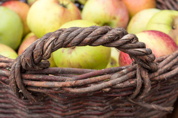 Basket of apples