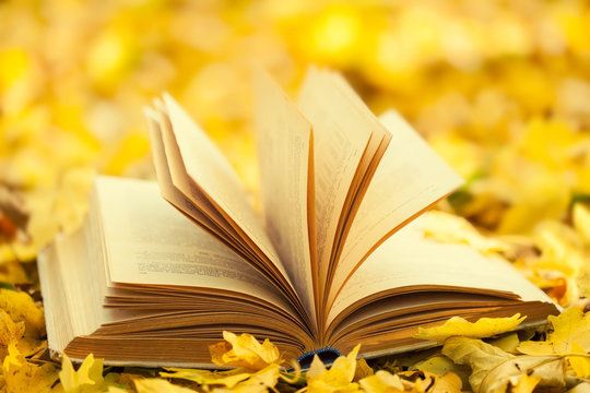 Opened book on a background of yellow fallen leaves