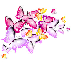 butterflies design