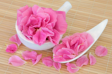 Obraz na płótnie Canvas Rose Petal Flowers