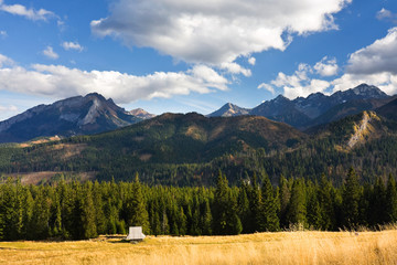 Beauty mountain panorama, Rusinowa Polana, Tatry, Poland © dziewul