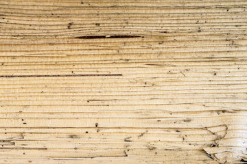 Plakat wood texture