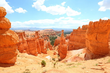 Bryce Canyon National Park landscape, Utah, USA