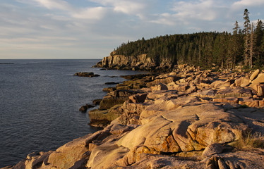 Acadia Coastline