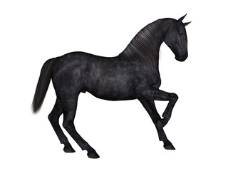 Fototapeta premium 馬